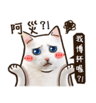 Cut Cat Help you speak（個別スタンプ：3）
