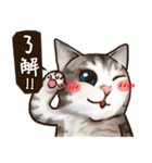 Cut Cat Help you speak（個別スタンプ：4）