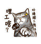 Cut Cat Help you speak（個別スタンプ：5）