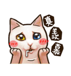 Cut Cat Help you speak（個別スタンプ：6）