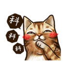 Cut Cat Help you speak（個別スタンプ：9）