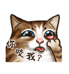 Cut Cat Help you speak（個別スタンプ：10）