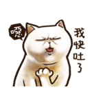 Cut Cat Help you speak（個別スタンプ：11）