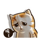 Cut Cat Help you speak（個別スタンプ：12）