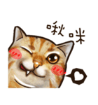 Cut Cat Help you speak（個別スタンプ：13）