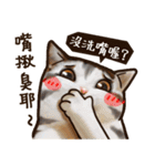 Cut Cat Help you speak（個別スタンプ：16）