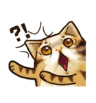 Cut Cat Help you speak（個別スタンプ：17）