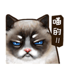 Cut Cat Help you speak（個別スタンプ：18）