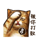 Cut Cat Help you speak（個別スタンプ：19）
