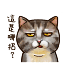 Cut Cat Help you speak（個別スタンプ：22）