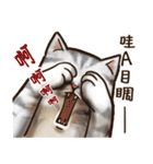 Cut Cat Help you speak（個別スタンプ：24）