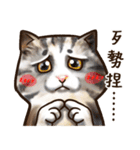 Cut Cat Help you speak（個別スタンプ：25）