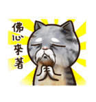 Cut Cat Help you speak（個別スタンプ：26）