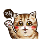 Cut Cat Help you speak（個別スタンプ：29）
