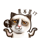 Cut Cat Help you speak（個別スタンプ：30）