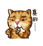 Cut Cat Help you speak（個別スタンプ：33）