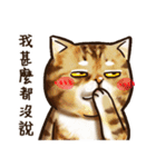 Cut Cat Help you speak（個別スタンプ：34）