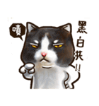 Cut Cat Help you speak（個別スタンプ：36）