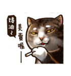 Cut Cat Help you speak（個別スタンプ：38）