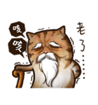 Cut Cat Help you speak（個別スタンプ：39）