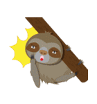 Sloth the colourful.（個別スタンプ：19）