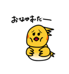 おかめのピーコたち（個別スタンプ：5）