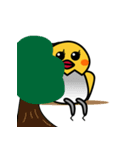 おかめのピーコたち（個別スタンプ：19）