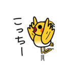 おかめのピーコたち（個別スタンプ：33）