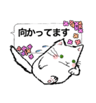 吹き出しスタンプ 猫と花（個別スタンプ：28）