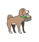 仲良し 犬とひよこ（個別スタンプ：1）
