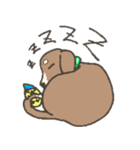 仲良し 犬とひよこ（個別スタンプ：4）