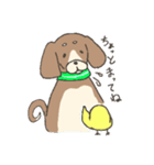 仲良し 犬とひよこ（個別スタンプ：7）