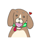 仲良し 犬とひよこ（個別スタンプ：38）