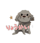 にゃんとわんだふるな日常（個別スタンプ：1）