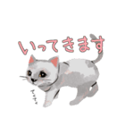 にゃんとわんだふるな日常（個別スタンプ：2）