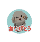 にゃんとわんだふるな日常（個別スタンプ：6）