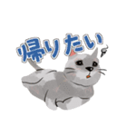 にゃんとわんだふるな日常（個別スタンプ：7）