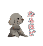 にゃんとわんだふるな日常（個別スタンプ：16）
