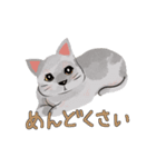にゃんとわんだふるな日常（個別スタンプ：24）