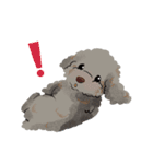 にゃんとわんだふるな日常（個別スタンプ：25）