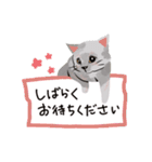 にゃんとわんだふるな日常（個別スタンプ：29）