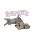 にゃんとわんだふるな日常（個別スタンプ：30）