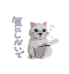 にゃんとわんだふるな日常（個別スタンプ：31）