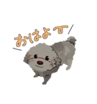 にゃんとわんだふるな日常（個別スタンプ：33）