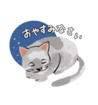 にゃんとわんだふるな日常（個別スタンプ：34）
