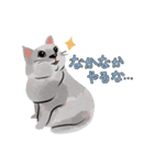 にゃんとわんだふるな日常（個別スタンプ：37）