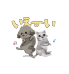 にゃんとわんだふるな日常（個別スタンプ：40）