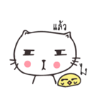 Catto and Chicky（個別スタンプ：16）