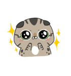 Master daily（個別スタンプ：1）