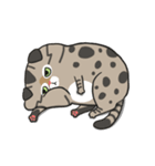 Master daily（個別スタンプ：2）